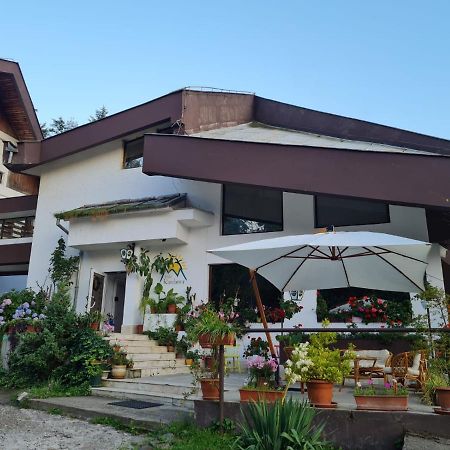 Randunica Hotell Văliug Eksteriør bilde