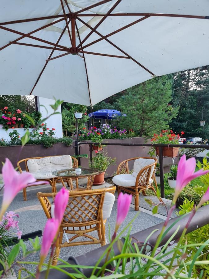 Randunica Hotell Văliug Eksteriør bilde