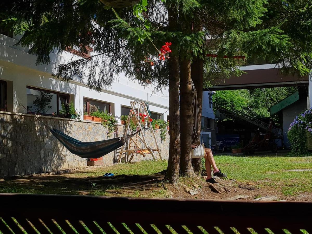 Randunica Hotell Văliug Eksteriør bilde
