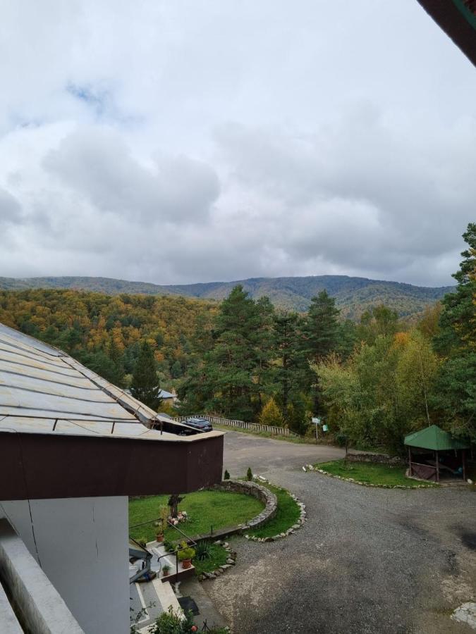 Randunica Hotell Văliug Eksteriør bilde